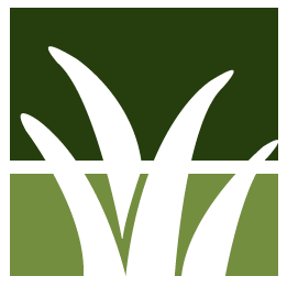 Fremont Lawn Clean Up