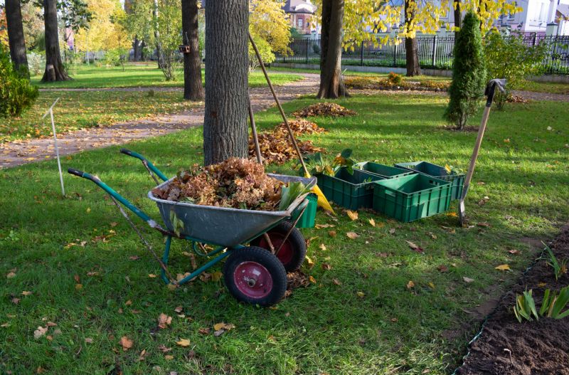 Lawn Debris Cleanup detail