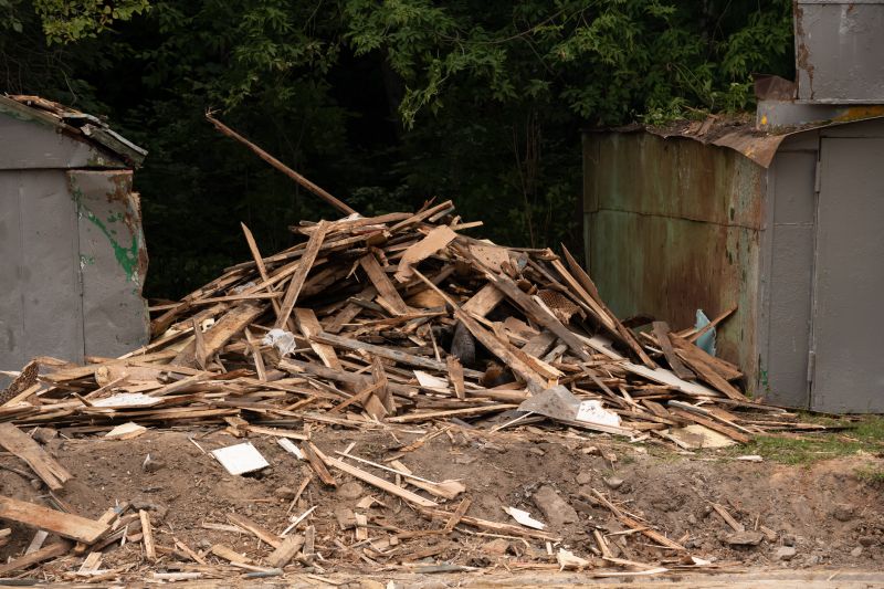 Wood Pile Removal detail