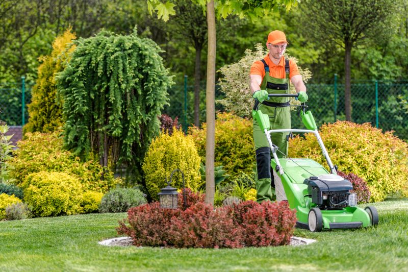Why Regular Lawn Clean Up Matters