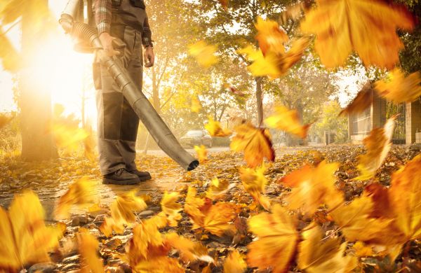 Leaf Blowing Service in Fremont