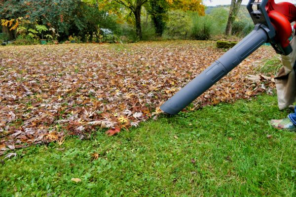Leaf Vacuuming Service in Fremont
