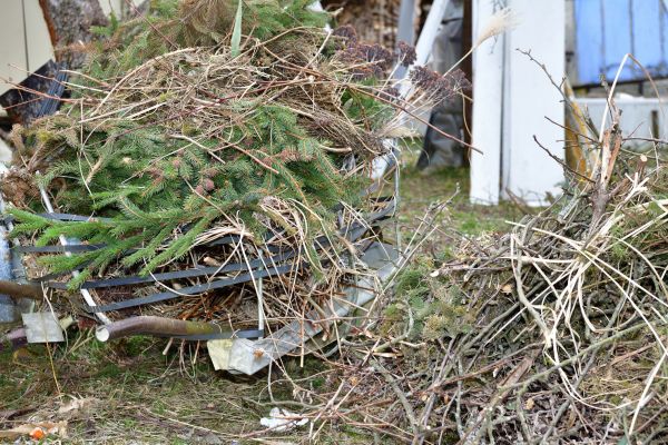Yard Debris Removal in Fremont
