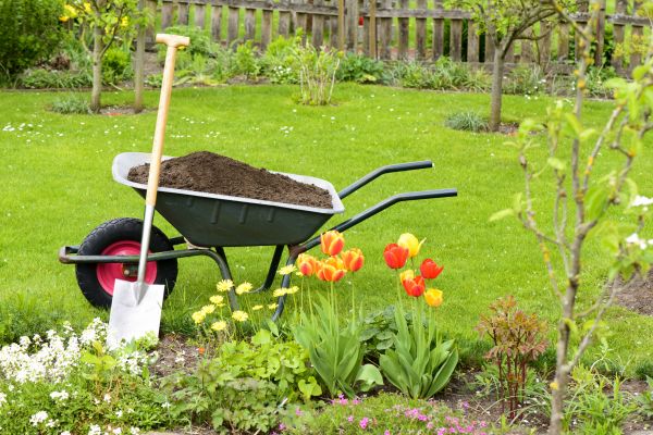 Spring Yard Cleanup in Fremont