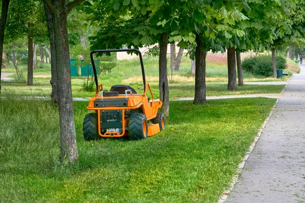 Landscaping Cleanup Service in Fremont