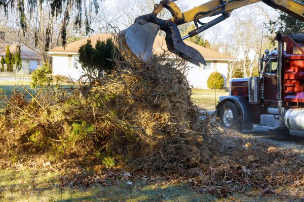 Storm Debris Removal in Fremont