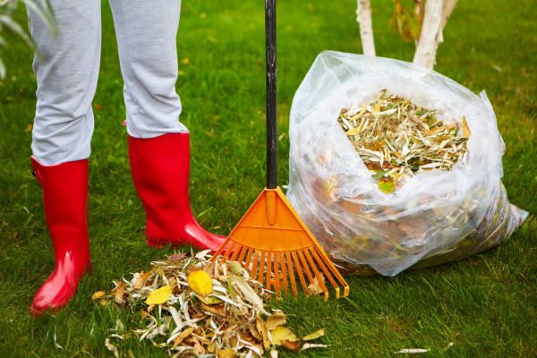 Leaf Disposal Service in Fremont