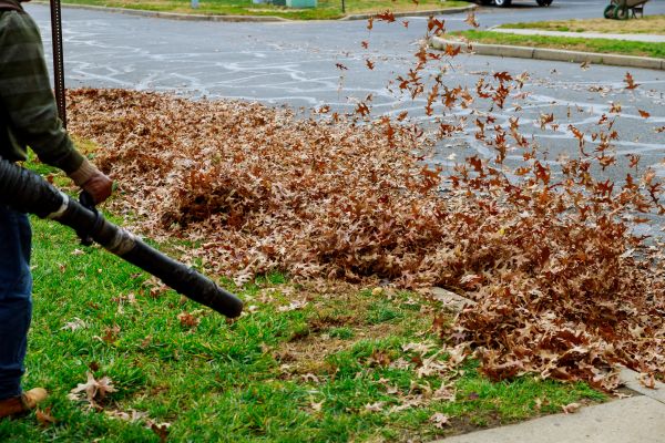 Garden Leaf Removal in Fremont