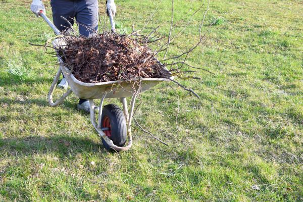 Yard Brush Removal in Fremont