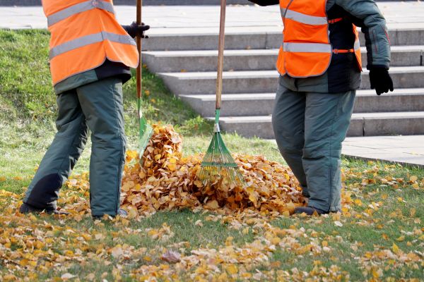 Leaf Hauling Service in Fremont