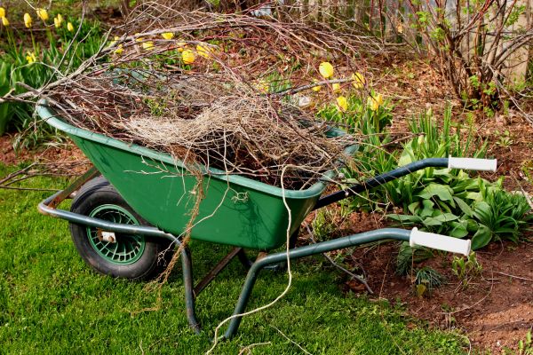 Lawn Waste Removal in Fremont