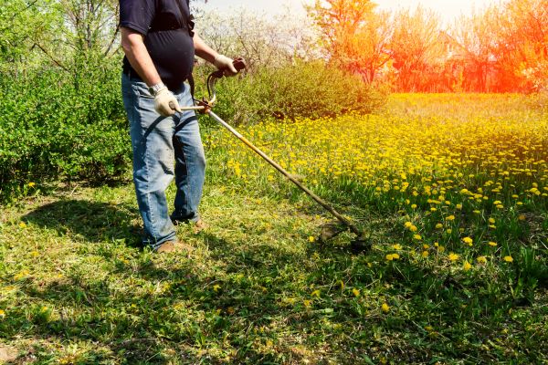 Yard Clearing Service in Fremont