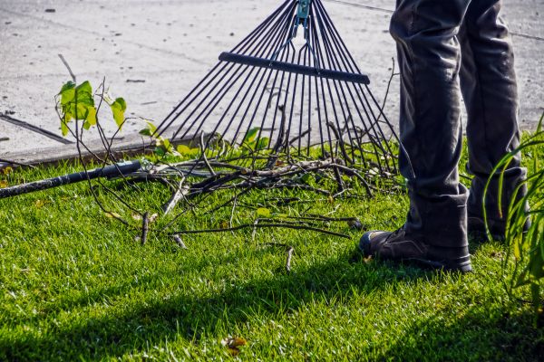 Yard Debris Cleanup in Fremont