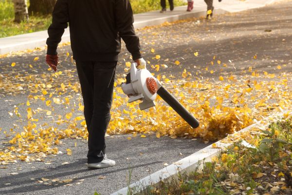 Commercial Leaf Removal in Fremont